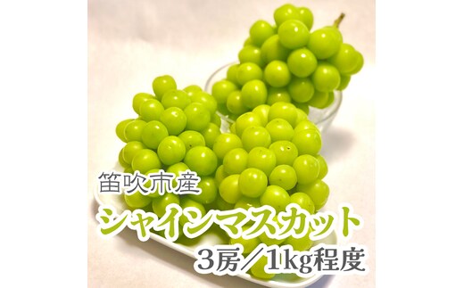 【2026年発送★先行予約】こだわりの逸品! 甘さと香り際立つ山梨県産シャインマスカット3房(合計1kg程度) 229-002-26y