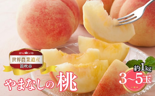 【2026年発送★先行予約】山梨県笛吹市産 桃 約１ｋｇ 3玉～5玉 223-012-26y