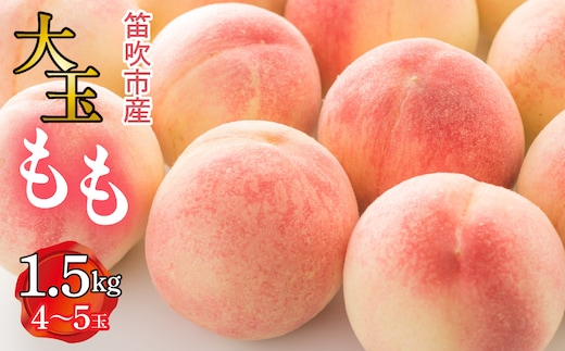 【2026年発送★先行予約】笛吹市産 大玉もも 1.5kg(4～5玉) 227-007-26y