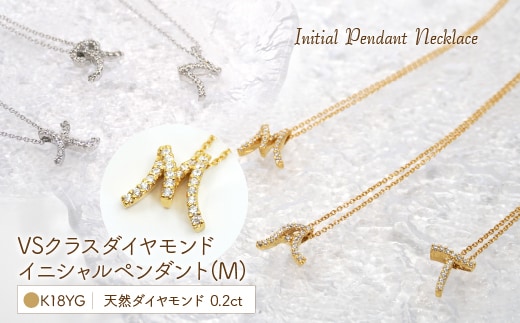 Ｋ18 ダイヤイニシャル ＰＮ ( M ) 管理番号20201007 221-001-M