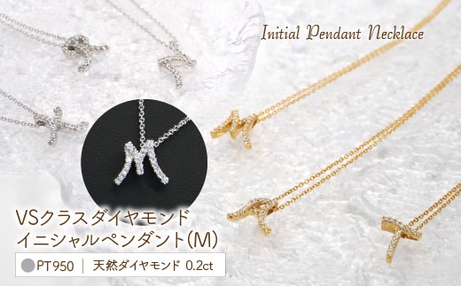 Pt950 ダイヤイニシャル ＰＮ ( M ) 管理番号20208007 221-002-M