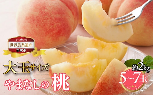 【2026年発送★先行予約】山梨県笛吹市産 大玉桃 約2kg 5玉～7玉 223-001-26y