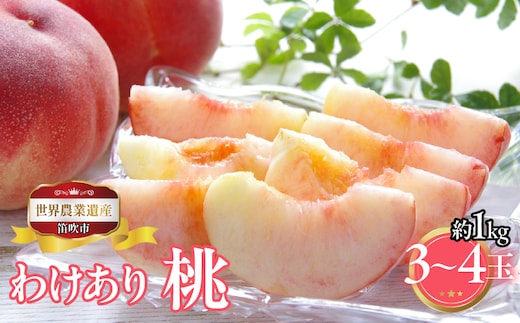 【2026年発送★先行予約】山梨県笛吹市産 ご家庭用桃(わけあり) 1kg 3玉～5玉 223-015-26y