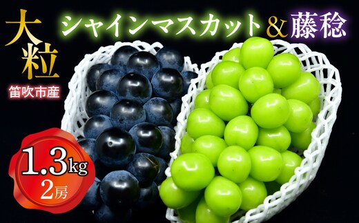 【2026年発送★先行予約】笛吹市産 大粒シャインマスカット・藤稔セット(2房) 1.3kg 227-006-26y