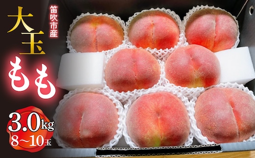 【2026年発送★先行予約】笛吹市産 大玉もも 3.0kg(8～10玉) 227-009-26y