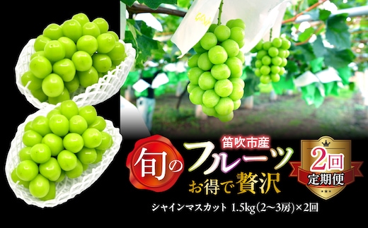 【定期便】【2026年発送★先行予約】お得で贅沢2回定期便シャインマスカット1.5kg 227-017-01-26y