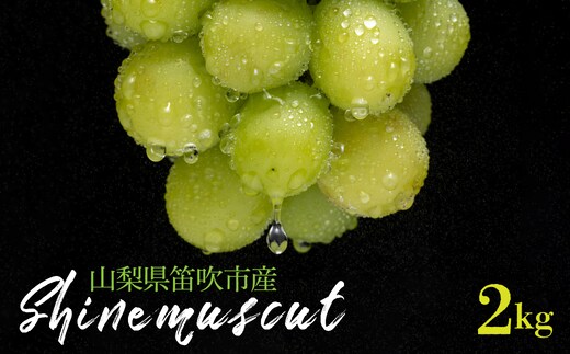 【2026年発送★先行予約】シャインマスカット 2kg以上 山梨県笛吹市産 235-003-26y