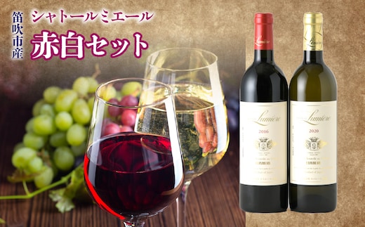 シャトールミエール 赤白セット 236-003