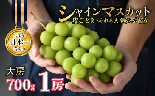 【2027年発送★先行予約】 山梨県笛吹市産 シャインマスカット 1房 約700g 大房 皮ごと食べられる人気のぶどう 262-002-27y