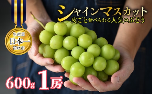 【2027年発送★先行予約】 山梨県笛吹市産 シャインマスカット 1房 約600g 皮ごと食べられる人気のぶどう 262-003-27y