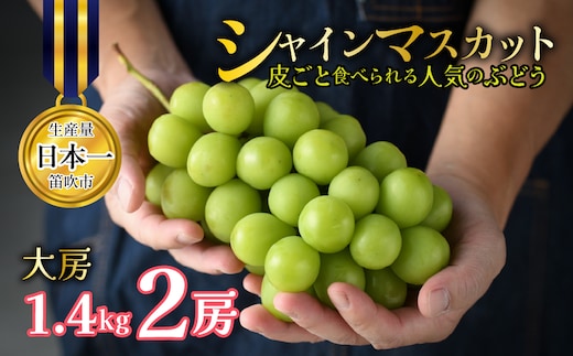 【2027年発送★先行予約】 山梨県笛吹市産 シャインマスカット 2房 約1.4kg 大房 皮ごと食べられる人気のぶどう 262-005-27y