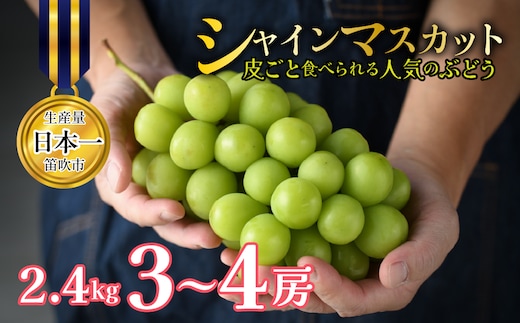 【2027年発送★先行予約】 山梨県笛吹市産 シャインマスカット 約2.4kg 3～4房 皮ごと食べられる人気のぶどう 262-010-27y