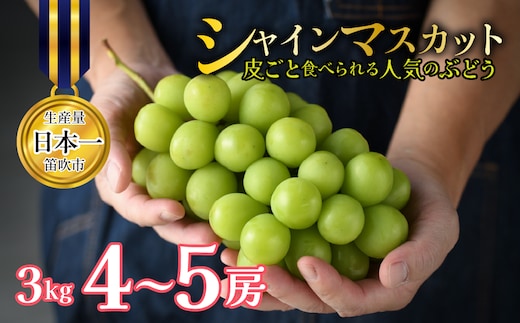 【2027年発送★先行予約】 山梨県笛吹市産 シャインマスカット 約3kg 4～5房 皮ごと食べられる人気のぶどう 262-011-27y