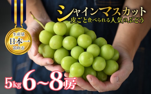 【2027年発送★先行予約】 山梨県笛吹市産 シャインマスカット 約5kg 6～8房 皮ごと食べられる人気のぶどう 262-012-27y