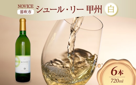 白ワイン NOVICEノヴィス シュール・リー 甲州 720ml×6本 フルボトル 辛口 ワイン お酒 白 山梨 送料無料 日川中央葡萄酒 山梨県 笛吹市 177-7-29
