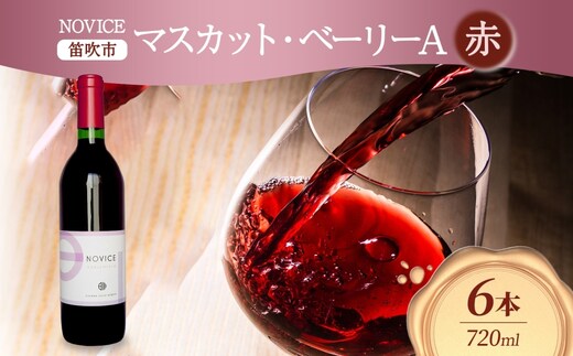 赤ワイン NOVICE マスカット・ベーリーA 720ml×6本 フルボトル ワイン お酒 赤 山梨 送料無料 日川中央葡萄酒 山梨県 笛吹市 177-7-31