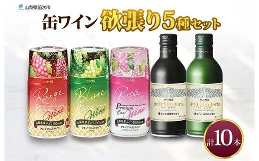 缶ワイン 欲張り 5種 飲み比べ セット 各2本 計10本 飲み比べ モンデ酒造 赤 ロゼ 白 ブラン 酒 お酒 贈答 ギフト 晩酌 宅飲み 家飲み キャンプ BBQ バーベキュー パーティー アウトドア 送料無料 山梨県 笛吹市 177-4-174