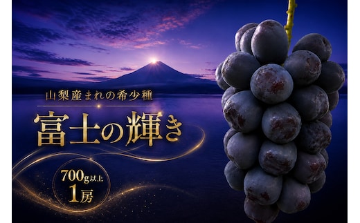 【2026年発送】先行予約 富士の輝き 富士の輝 ブラックシャインマスカット 1房 700g以上 山梨県産 希少 高級 黒系ぶどう 贈答 【山梨県笛吹市 産地直送】ぶどう フルーツ 果物 209-012