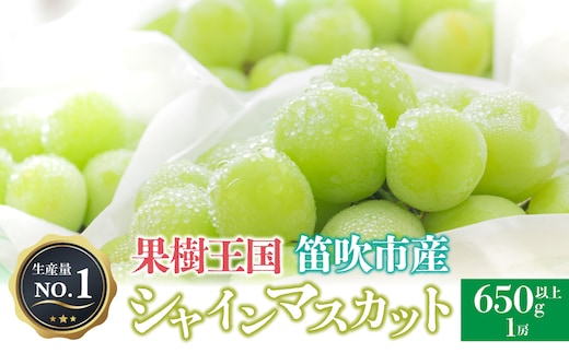 ＜26年発送＞人気 シャインマスカット 650g以上 1房 ※沖縄県及び離島への配送はできませんので予めご了承ください。※常温配送 126-017-26y