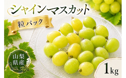 【2026年発送】先行予約 シャインマスカット 粒 1kg 500g×2 ご家庭用 山梨県産 【山梨県笛吹市 産地直送】ぶどう フルーツ 果物 209-010