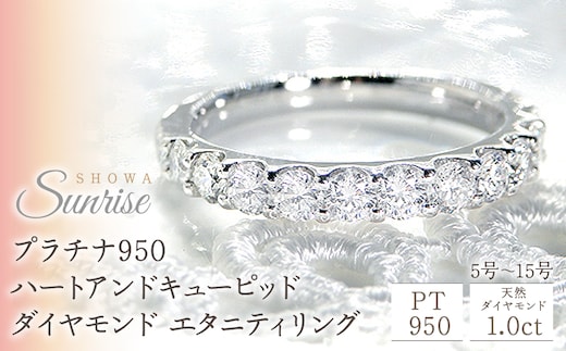 【1.0ct】プラチナ950 ハートアンドキューピッド ダイヤモンド エタニティリング（5号～15号） CSR0088 SWAV008