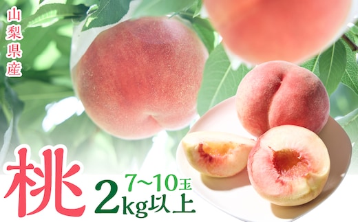 ＜2026年発送＞山梨県産 桃 （7玉～10玉） 2キロ以上 SWCN001-2kg