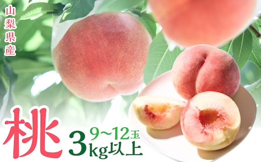 ＜2026年発送＞山梨県産 桃 （9玉～12玉） 3キロ以上 SWCN001-3kg