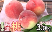 2026年発送 朝採れ！厳選！山梨県産 桃3Kｇ 8～12玉 SWCM001-3kg