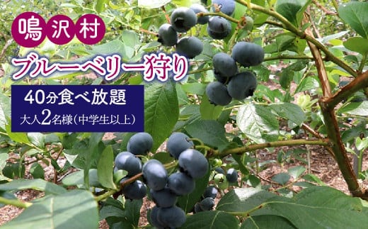 ブルーベリー狩り体験チケット（大人中学生以上2名様分） NSAL007