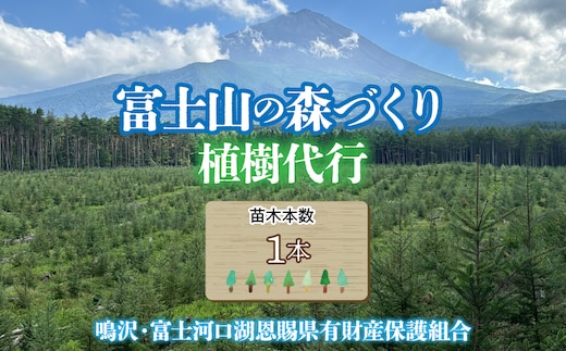 富士山の森づくり植樹代行(1本) NSAP001-a