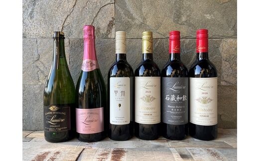 ルミエール ワイン定期便 ハーフコース FAM003