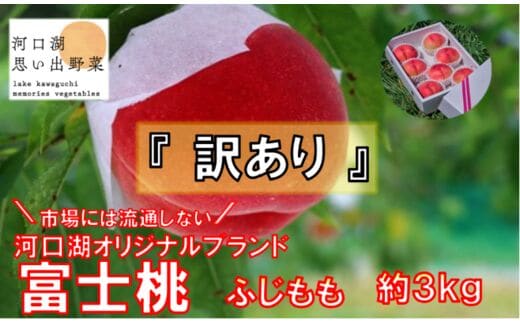 【2026年8月中旬より発送】【訳あり】河口湖で初の桃栽培！オリジナルブランド富士桃『訳あり』(約３キロ) FAH001