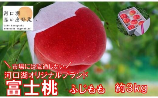 【2026年8月中旬発送】河口湖で初の桃栽培！オリジナルブランド富士桃(約3キロ) FAH004