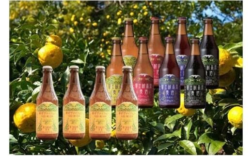 【富士河口湖地ビール】富士桜高原麦酒（ゆずヴァイツェン4本+レギュラー4種8本）数量限定クラフトビール FAD025