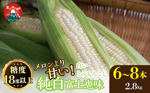 ＜26年発送先行予約＞富士山の大地から待望の白いとうもろこし！フルーツではなくもはやスイーツ☆純白富士恵味6～8本 白い恵味 FAH007