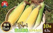 ＜26年発送先行予約＞メロンより甘い！生で美味しいとうもろこし富士恵味１０本セット 惠味ゴールド スイートコーン FAH003