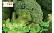 ＜26年発送先行予約＞【数量限定】でかっ！富士山の大地でゆっくり育ったキングブロッコリー９株 FAH006