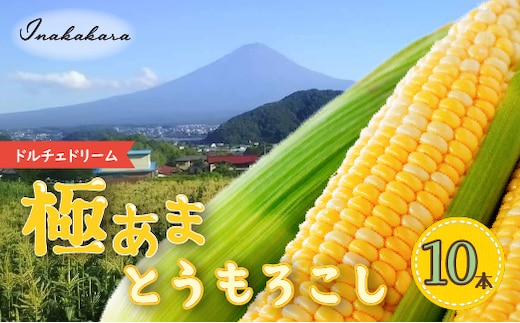 ＜2026年先行予約＞【富士山の麓で育つ】富士河口湖町産 Inakakaraとうもろこし「ドルチェドリーム」10本入 FBA008