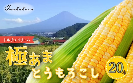＜2026年先行予約＞【富士山の麓で育つ】富士河口湖町産 Inakakaraとうもろこし「ドルチェドリーム」20本入 FBA009