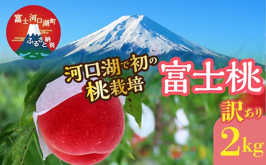 ＜26年発送先行予約＞【訳あり】河口湖で初の桃栽培！オリジナルブランド富士桃『訳あり』(約２キロ) FAH009