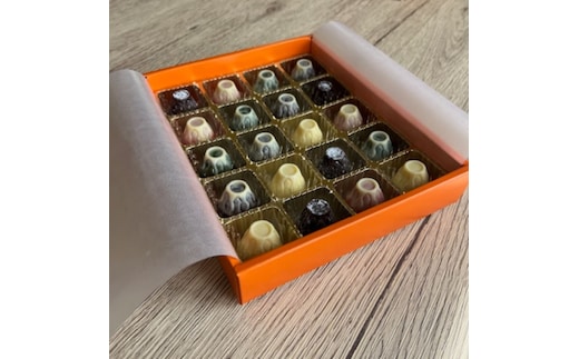 Fujichocolate５種アソート（20ケ入り） FEQ002