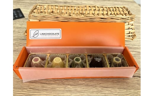 Fujichocolate５種アソート（５ケ入り） FEQ001