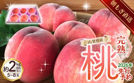 【来年2026年出荷分 先行予約】朝もぎ直送!『山梨県産 桃』約5～8玉 約2kg規格箱入り【高機能共選機使用】選び抜かれた桃《もも 先行予約》 山梨県産 モモ/ フルーツ 果物 くだもの 人気 産地直送/厳選 贈答 贈り物【tab0182】