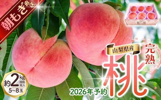 【来年2026年出荷分 先行予約】朝もぎ直送!『山梨県産 桃』約5～8玉 約2kg規格箱入り【高機能共選機使用】選び抜かれた桃《もも 先行予約》 山梨県産 モモ/ フルーツ 果物 くだもの 人気 産地直送/厳選 贈答 贈り物【tab0182-2026】