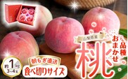 朝もぎ直送!『品種おまかせ桃』３～４玉 約1kg規格箱入り 【高機能共選機使用】選び抜かれた山梨の桃《もも 先行予約》山梨県産　モモ/ フルーツ 果物 くだもの 人気 産地直送/厳選  贈答 贈り物