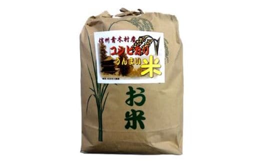 青木村産お米コシヒカリ