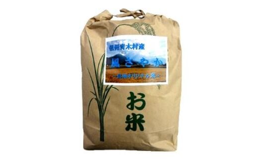 青木村産お米風さやか