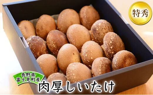 【特秀】純国産 肉厚しいたけ