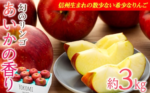 りんご あいかの香り 約3kg セット 2026年 令和8年度発送分 リンゴ 林檎 長野 フルーツ 果物 信州産 長野県産 特産 産地直送 おすすめ