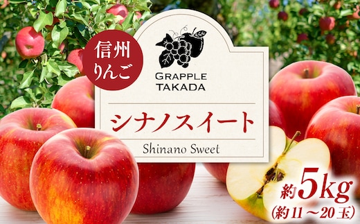 信州りんご シナノスイート 5kg ※クレジット決済限定 りんご リンゴ 林檎 長野 フルーツ 果物 信州産 長野県産 特産 産地直送 おすすめ